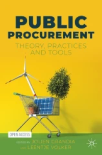 Image of Public Procurement: Theory, Practices and Tools